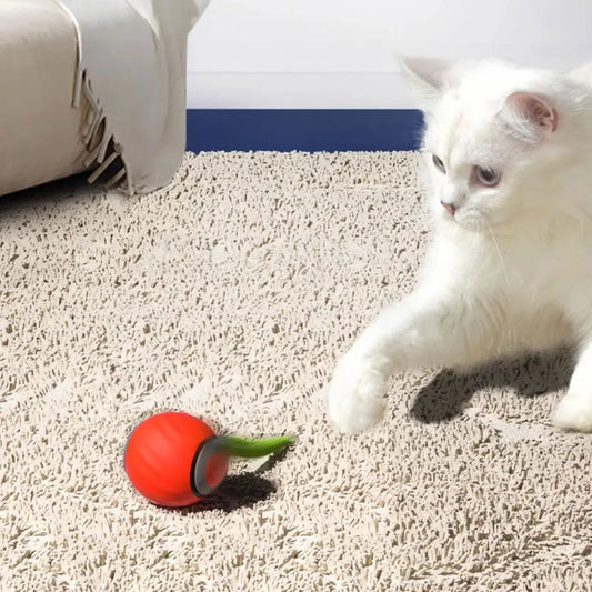 Cat Interactive Ball Toy Automatic Rolling Ball with Tail Rechargeable Smart Pet Interactive Toy Intelligent Mouse for Cat