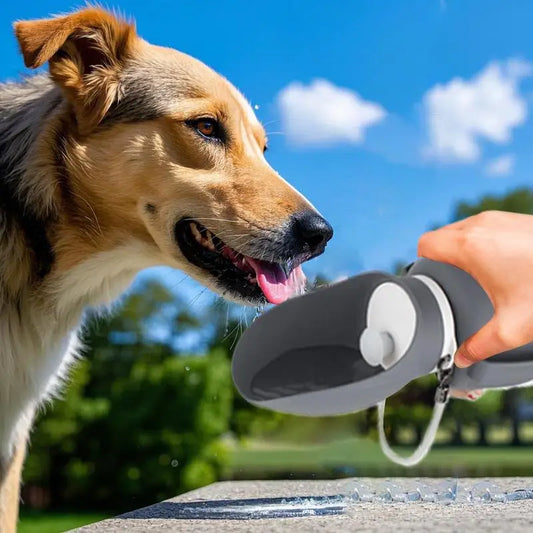 Dog Water Feeder Dispenser 800ml Portable Puppy Foldable Water Container Pet Drinking Feeder With Lanyard For Small Medium Large