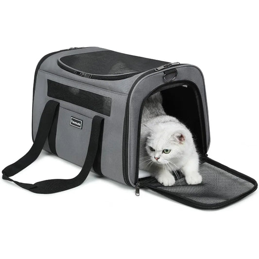 Foldable SoftSided Pet Carrier for Cats and Small Dogs Up to 20 Lbs with 4 Ventilated Windows EscapeProof Design Airline Approv