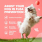 Dog Flea and Tick Treatment Chews FleaTick Prevention for Dogs Chewables Natural Dog Flea Tick Control Soft Treats Immune Suppo