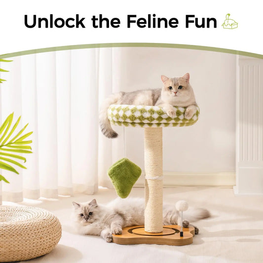 Mewoo Cat Scratching Post Bed Small Cat Tower, Sisal Cat Scratcher Cat Ball Track with Toys （Green Brown Medium)
