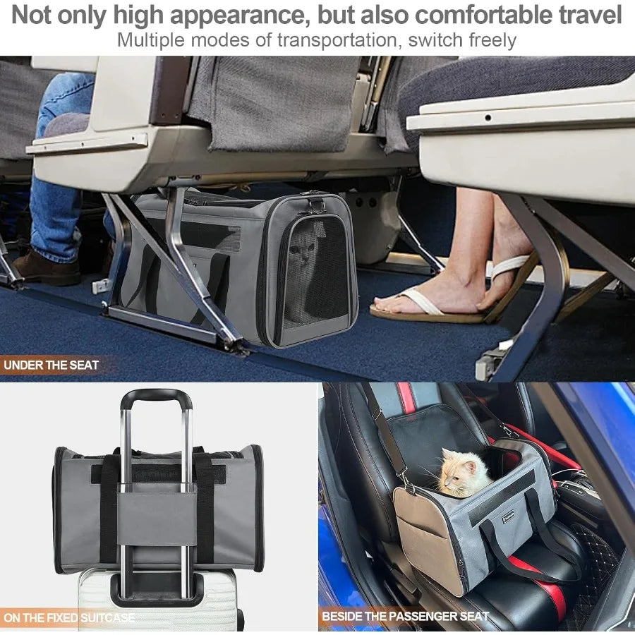 Foldable SoftSided Pet Carrier for Cats and Small Dogs Up to 20 Lbs with 4 Ventilated Windows EscapeProof Design Airline Approv