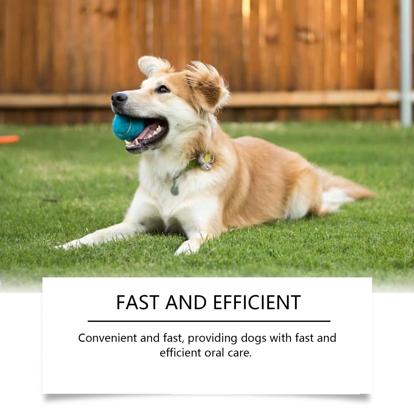 Yegbong Pet Oral Care Water, Dog Teeth Cleaning Tartar Odor Care Lasting Fresh Care
