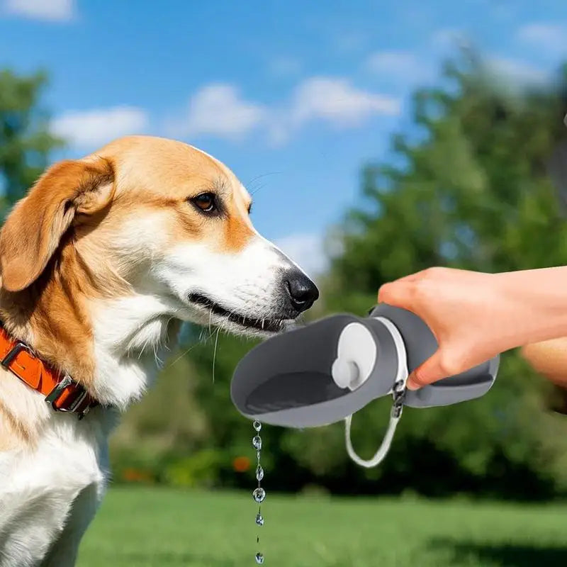 Dog Water Feeder Dispenser 800ml Portable Puppy Foldable Water Container Pet Drinking Feeder With Lanyard For Small Medium Large