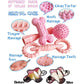 Puppy Toys for 2-8 Months Pets Dog Chew Toy for Small Puppies Teething Toys for Cleaning Teeth Cute Pink Small Dog Toys Soft Dur